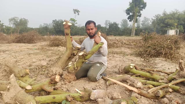 কৃষিতে জাতীয় পুরস্কার প্রাপ্ত পারভেজের বাগানে হামলা, অর্ধকোটি টাকার ক্ষয়ক্ষতি